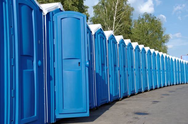 Best Affordable portable toilet rental  in Litchfield, IL